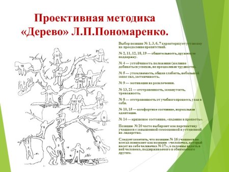 Проективная методика дерево Пономаренко