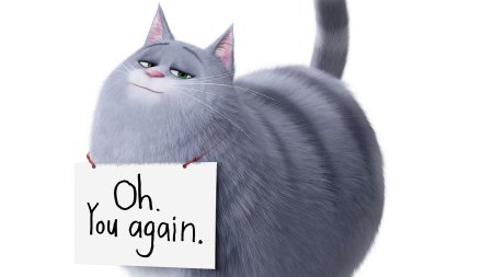 Тайная жизнь домашних животных 2 кошка Хлоя