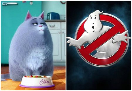 Тайная жизнь домашних животных кошка Хлоя