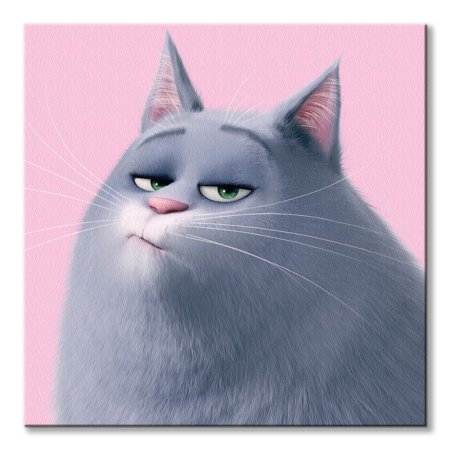 Тайная жизнь домашних животных кошка Хлоя