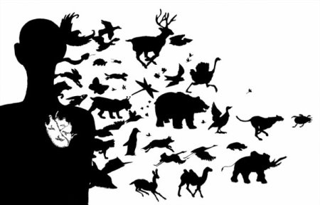 Исчезновение видов животных