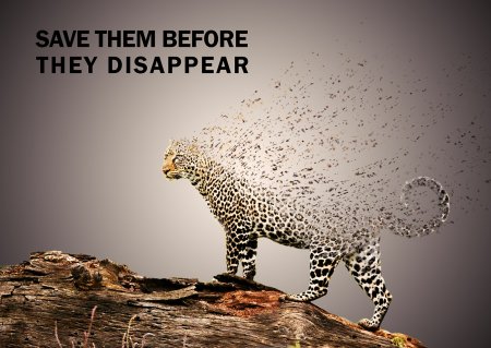 Постер вымирающие животные