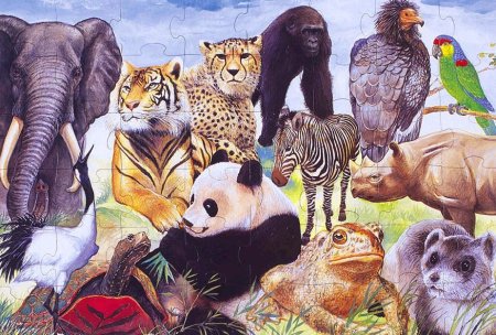 Вымирание редких видов животных