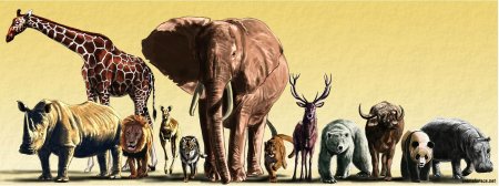 Защита вымирающих животных