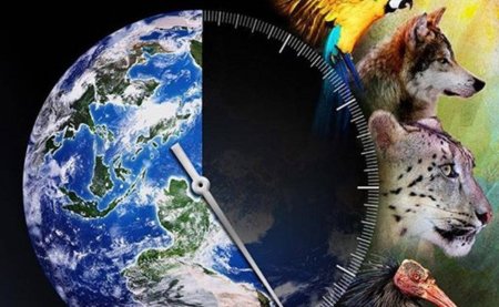 Исчезновение животных