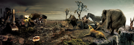 Уничтожение видов растений и животных