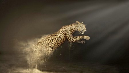 Исчезновение животных