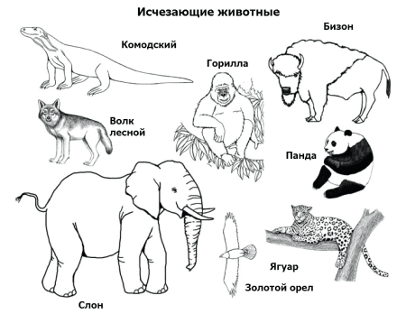 Рисунки исчезающих животных