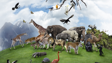 Планета животных