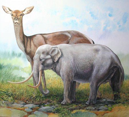 Палеоиллюстратор Peter Schouten