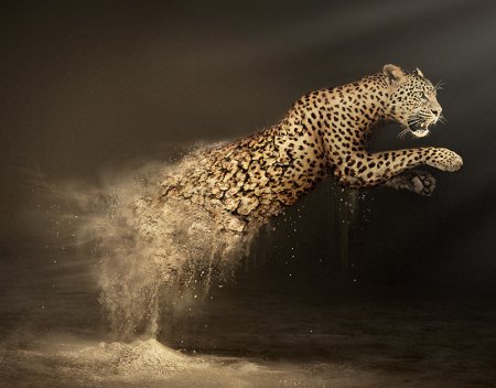 WWF животные