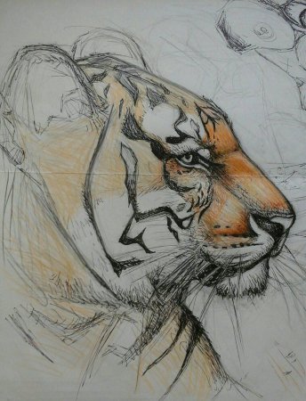 Анималистика Графика