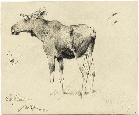 Вильгельм Кахнерт зарисовки