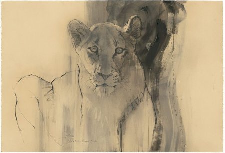 Художник анималист Александр Дегтев