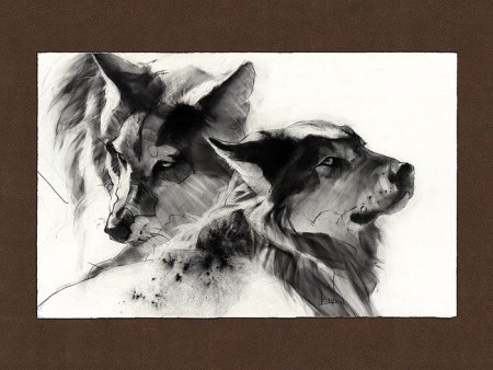 Василий Ватагин анималист