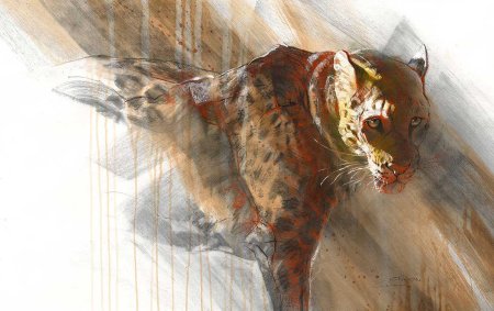 Анималистика карандашом