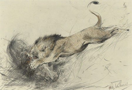 Анималистика акварелью