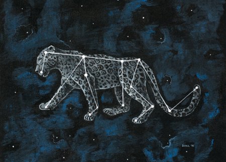 Созвездие тигра на небе