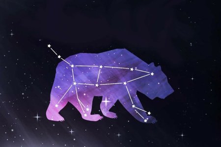 Большая Медведица (Ursa Major)
