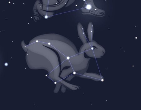 Нихал звезда Созвездие зайца