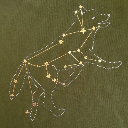 Астеризм созвездия волка