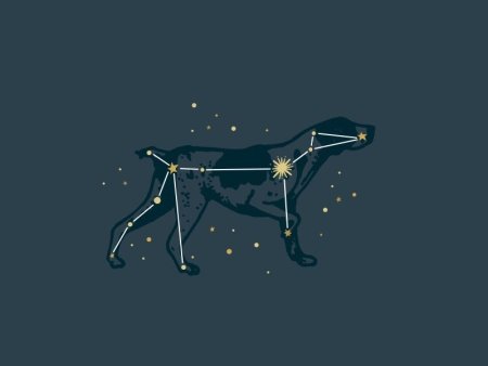 Canis Major Созвездие