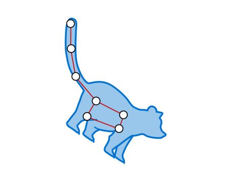 Большая Медведица Созвездие