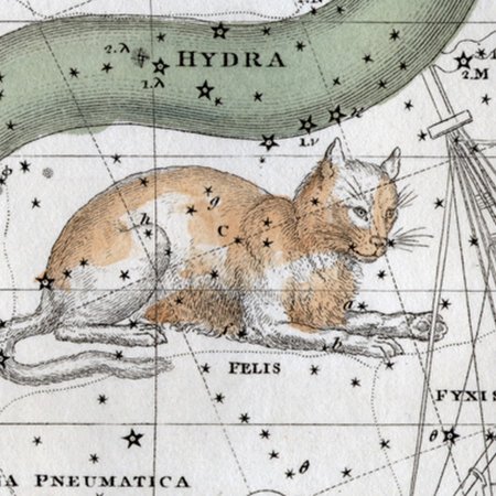 Созвездие кота