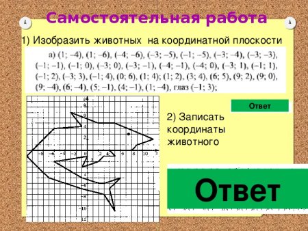 Координаты на плоскости