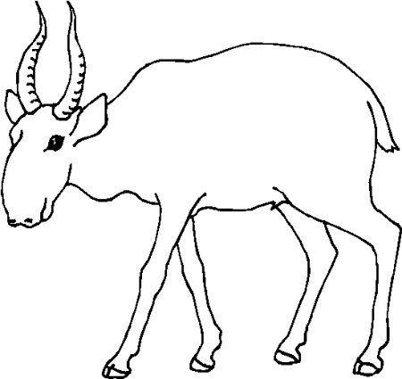 Нарисовать сайгака