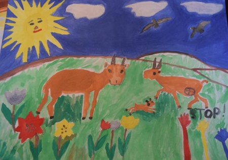 Природа родного края Калмыкия