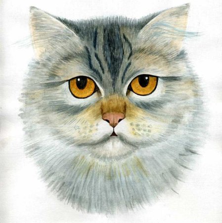 Морда кошки акварелью