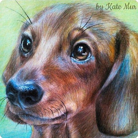 Художник Kate mur