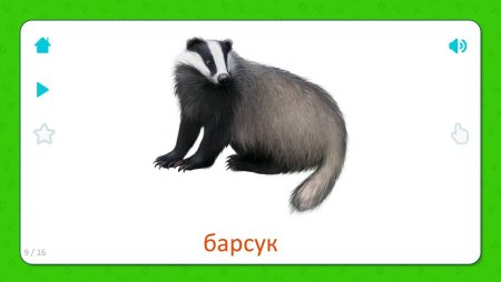 Барсук карточка для детей
