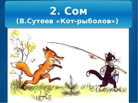 Сеазки суьеева кот рыбол