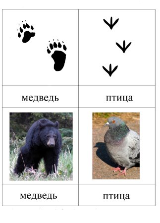 Следы животных с названиями