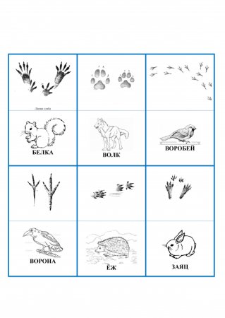 Игра чьи следы для дошкольников