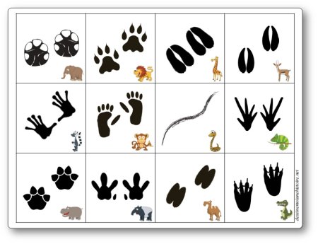 Задания для детей чьи следы