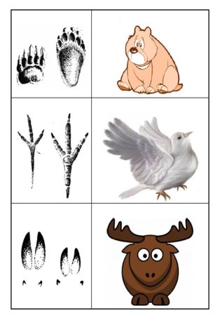 Игра чьи следы