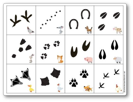 Следы животных для детей