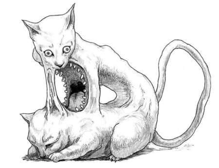 Кошка арт карандашом
