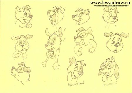Мимика мультяшных животных