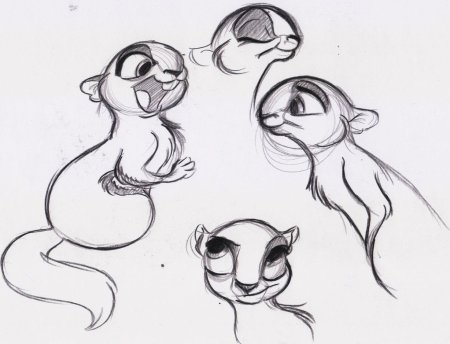 Наброски белки карандашом