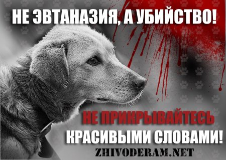Картина равнодушие