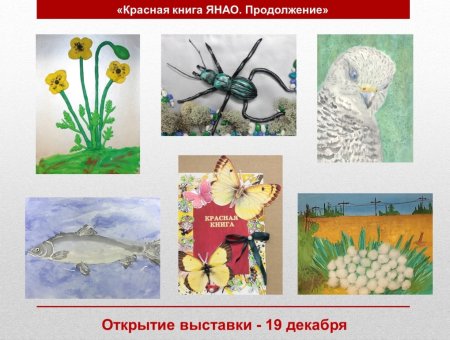 Красная книга Ямала рисунок
