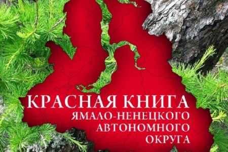 Красная книга Ямало-Ненецкого автономного округа животные