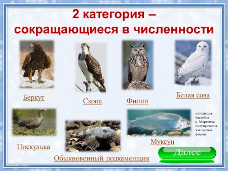 Красная книга глазами детей