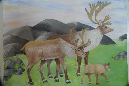 Обыкновенный Турпан красная книга