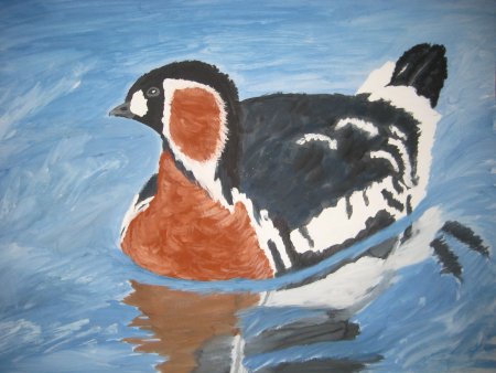 Белый медведь красная книга