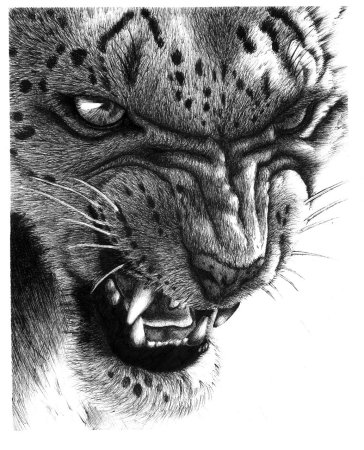 Тату Рысь с оскалом